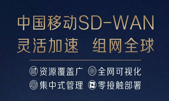 SD-WAN，跨境网络访问加速